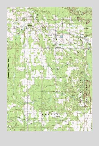 Chatham, MI USGS Topographic Map