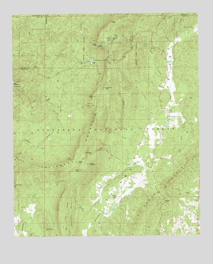 Cheaha Mountain, AL USGS Topographic Map