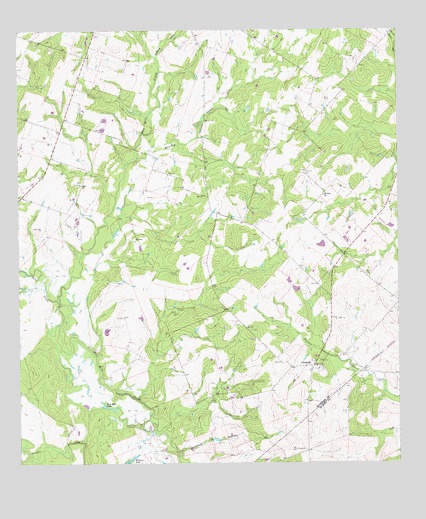 Cheapside, TX USGS Topographic Map