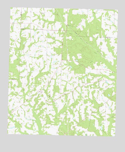 Amboy, GA USGS Topographic Map