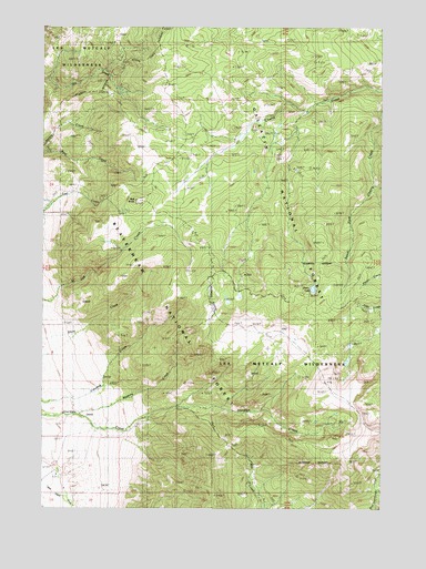 Cherry Lake, MT USGS Topographic Map