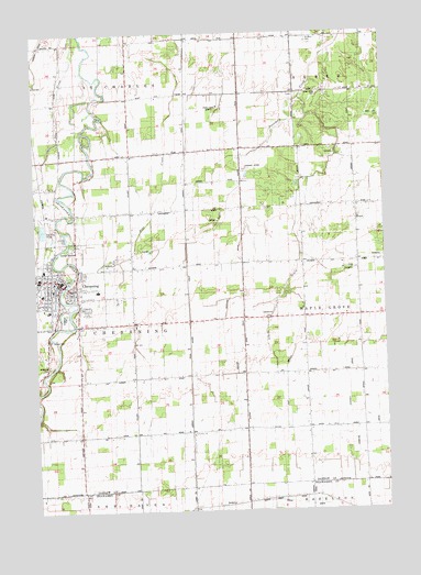 Chesaning East, MI USGS Topographic Map