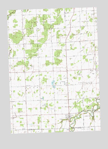 Chesaning West, MI USGS Topographic Map