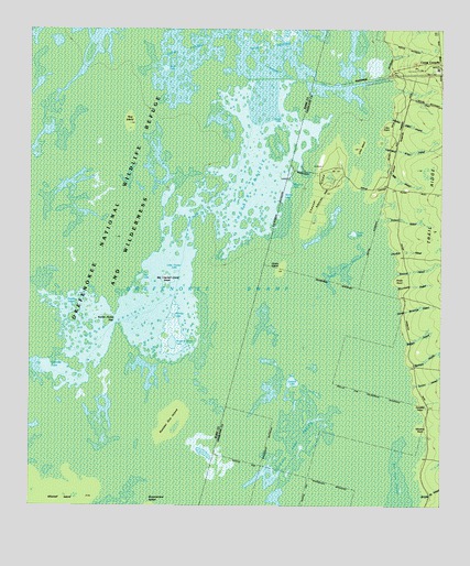 Chesser Island, GA USGS Topographic Map