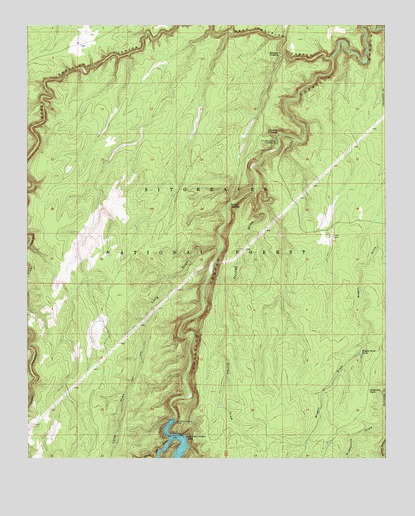 Chevelon Crossing, AZ USGS Topographic Map