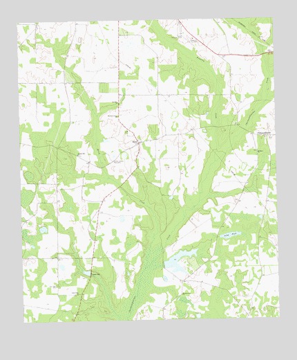 Chickasawhatchee, GA USGS Topographic Map
