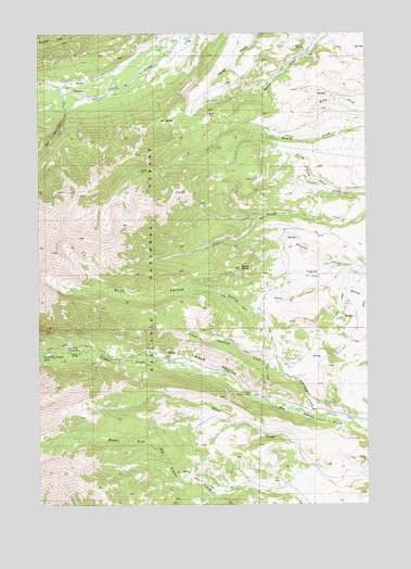 Amelong Creek, MT USGS Topographic Map