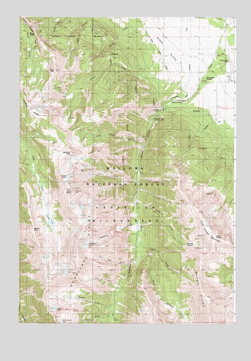 Chief Joseph Mountain, OR USGS Topographic Map