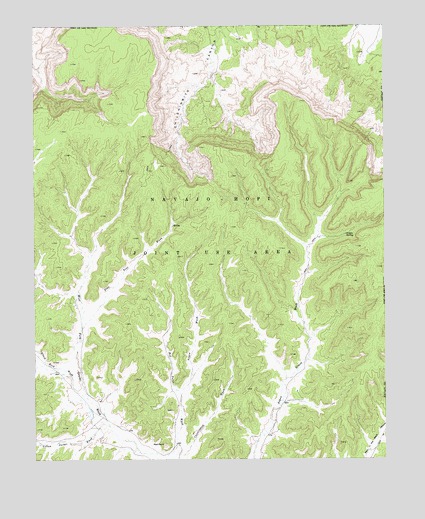 Chilchinbito Canyon, AZ USGS Topographic Map