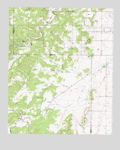 Chilili, NM USGS Topographic Map