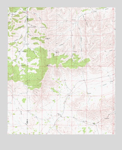 Chimney Lake, NM USGS Topographic Map