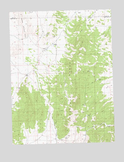 Chin Creek Spring, NV USGS Topographic Map