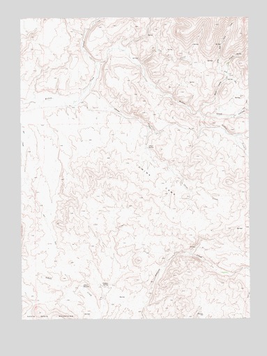 China Camp, NV USGS Topographic Map