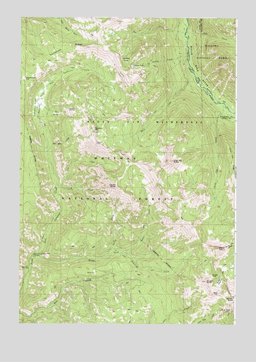 China Cap, OR USGS Topographic Map