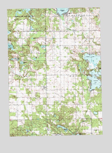 Chippewa Lake South, MI USGS Topographic Map
