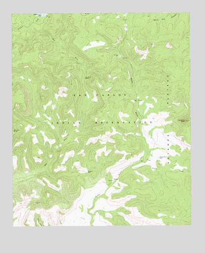 Chiricahua Butte, AZ USGS Topographic Map
