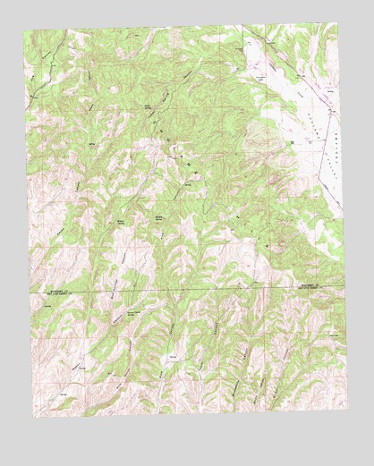 Cholame Hills, CA USGS Topographic Map
