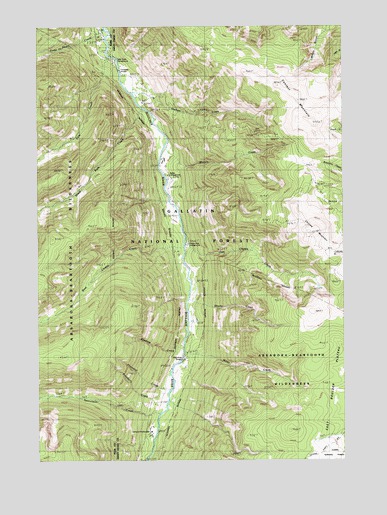 Chrome Mountain, MT USGS Topographic Map