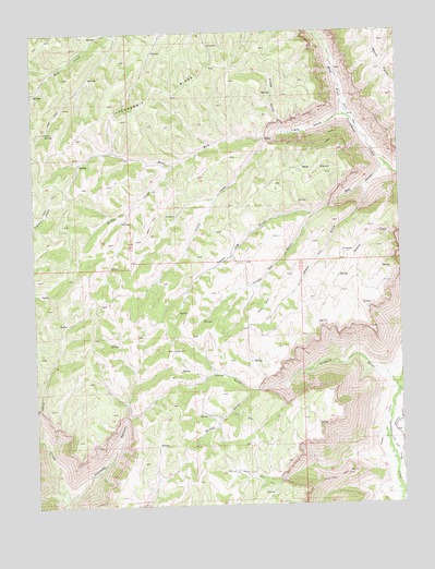 Circle Dot Gulch, CO USGS Topographic Map