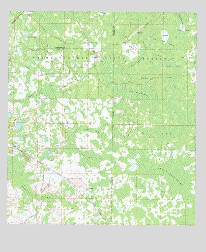 Clay Sink, FL USGS Topographic Map