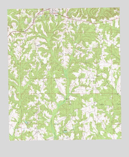Clayton South, AL USGS Topographic Map
