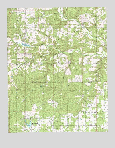 Clear Springs, MO USGS Topographic Map