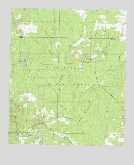 Clear Springs, MS USGS Topographic Map
