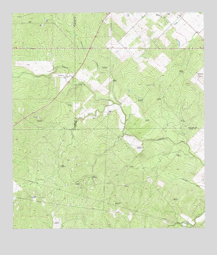 Clegg, TX USGS Topographic Map