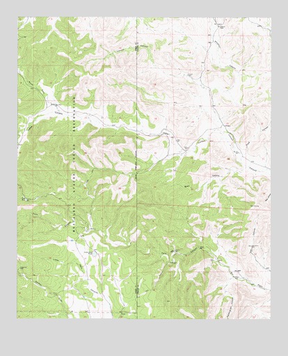 Clements Ranch, NM USGS Topographic Map