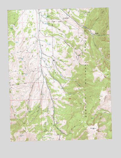 Cleve Creek Baldy, NV USGS Topographic Map