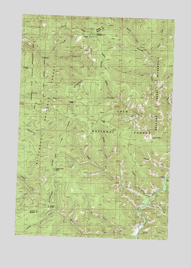 Cleveland Mountain, MT USGS Topographic Map