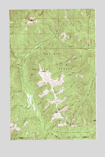 Clifty Mountain, ID USGS Topographic Map