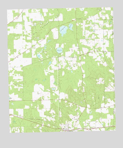 Climax North, GA USGS Topographic Map