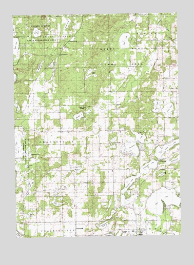 Cloverdale, MI USGS Topographic Map