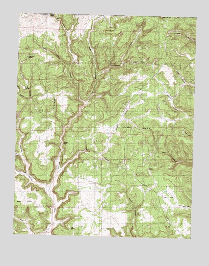 Anastacio Spring, NM USGS Topographic Map