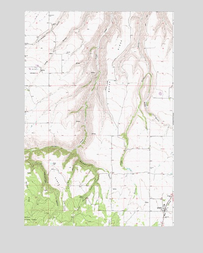 Anatone, WA USGS Topographic Map