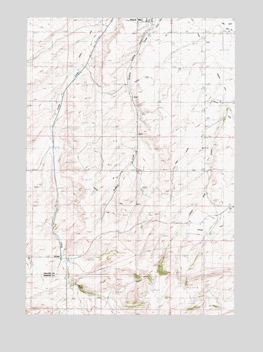 Anceney, MT USGS Topographic Map