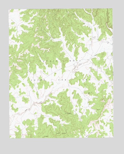 Coat Spring, AZ USGS Topographic Map
