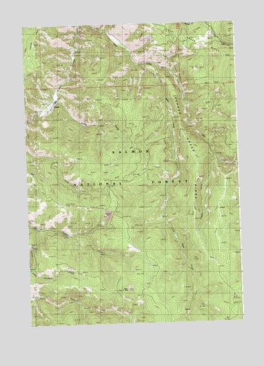 Cobalt, ID USGS Topographic Map