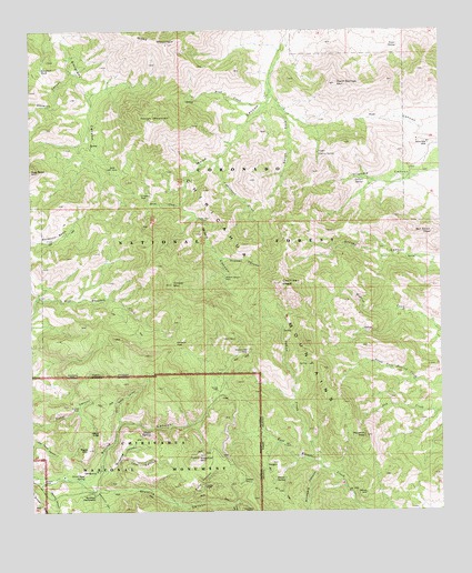 Cochise Head, AZ USGS Topographic Map