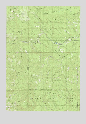 Cochran, OR USGS Topographic Map