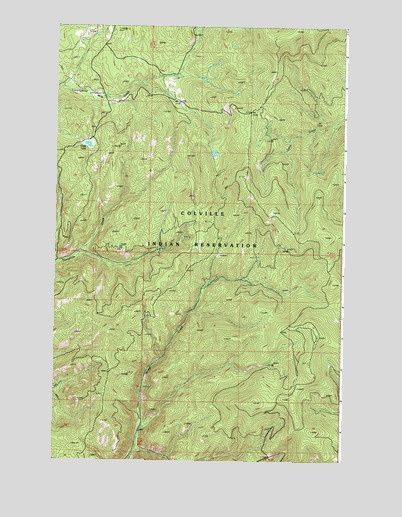 Cody Lake, WA USGS Topographic Map