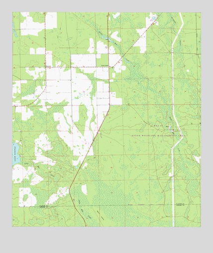 Codys Corner, FL USGS Topographic Map