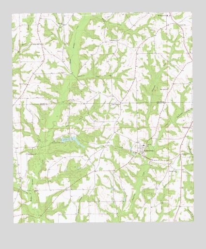 Coffee Springs, AL USGS Topographic Map