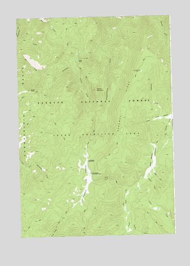 Cold Meadows, ID USGS Topographic Map