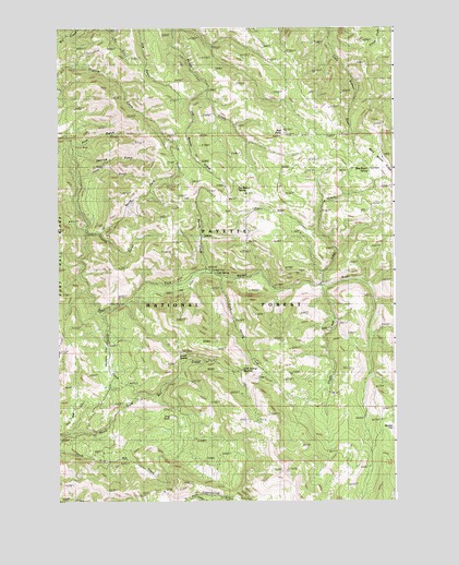 Cold Spring Summit, ID USGS Topographic Map