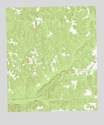 Coleman, GA USGS Topographic Map
