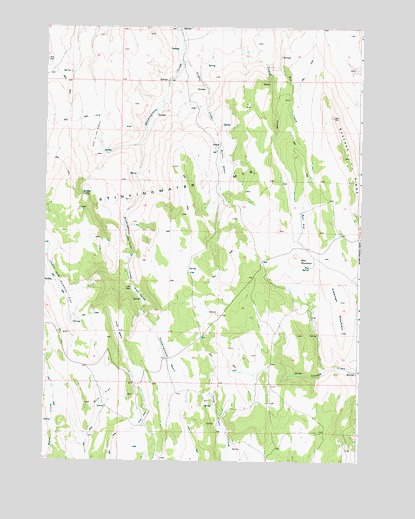 Coleman Mountain, OR USGS Topographic Map