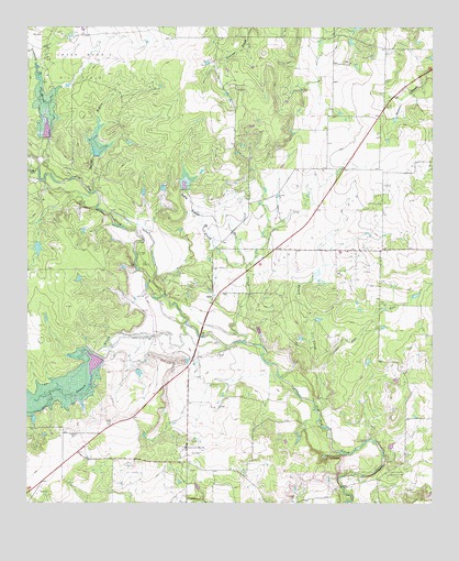 Coleman NE, TX USGS Topographic Map