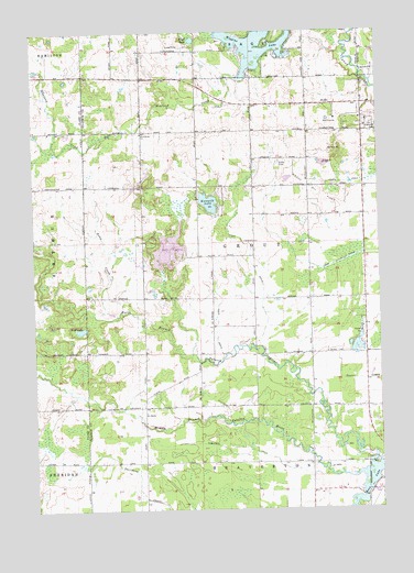 Coleman NE, MI USGS Topographic Map